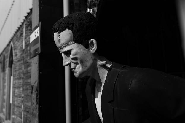Frankenstein's Monster