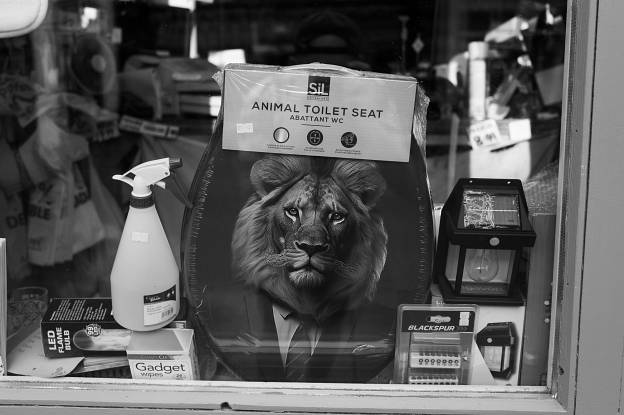 Animal Toilet Seat